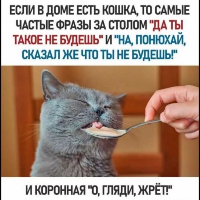 Картинки и буквы 20.06.2020