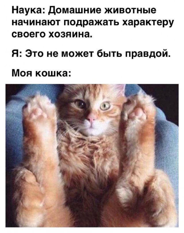 Так себе картинки 22.07.24