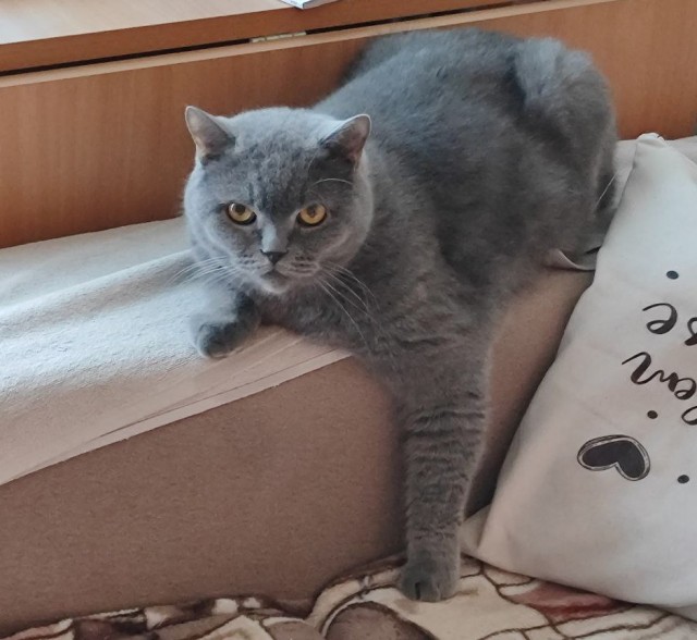 Коробочки наше фсё