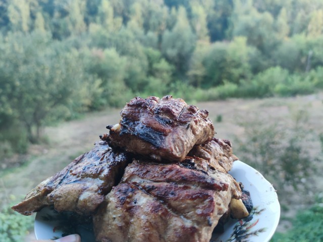 Огонь и мясо
