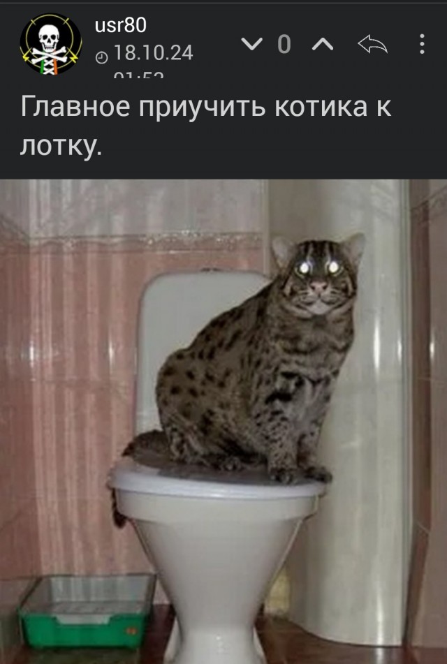 Домашний милый пушистик