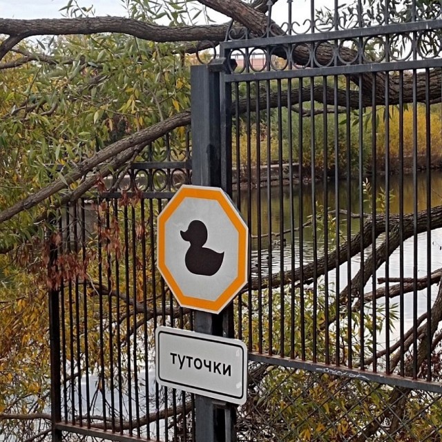 Так себе картинки 03.11.24
