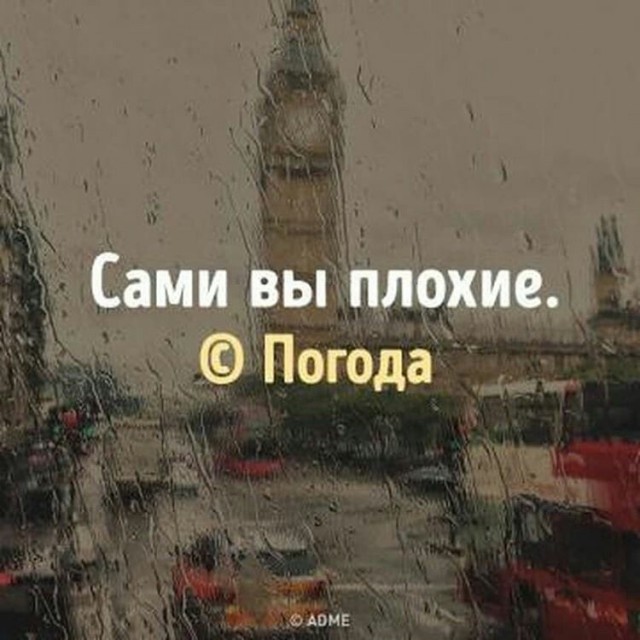Прикольные и просто красивые картинки 08.11.2024