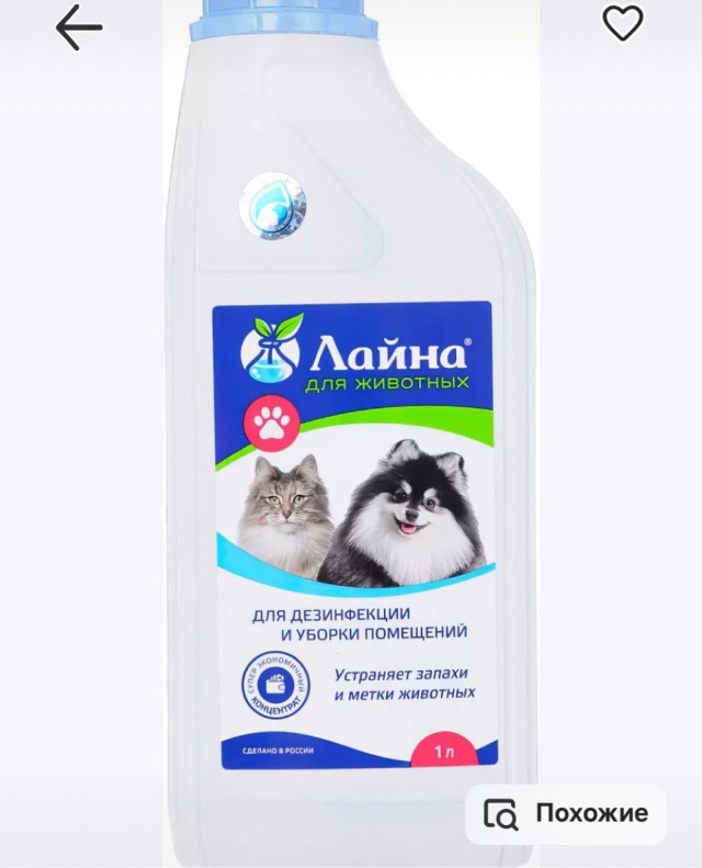 Жизнь домашнего приюта для котеек 523