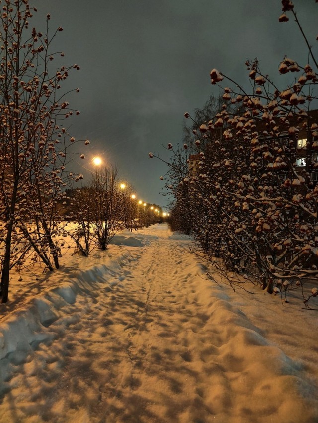 Прикольные и просто красивые картинки 27.12.2024