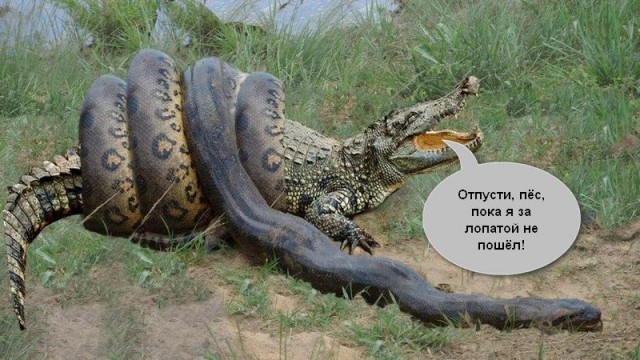 Обычный австралийский пляж