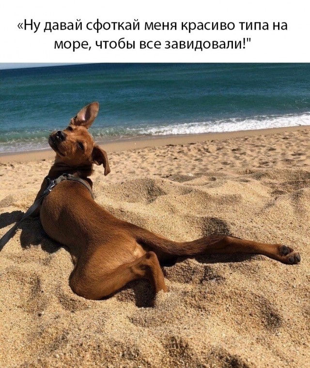 Так себе картинки 21.02.25