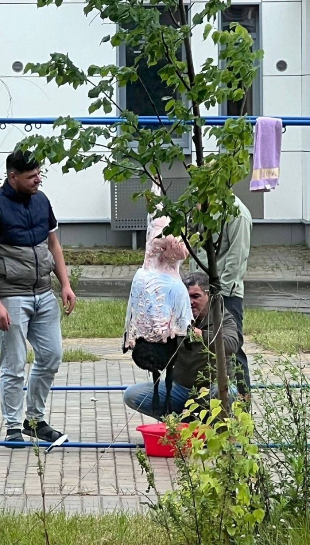 За убийства барана в «Новой Москве» иностранные специалисты всё же понесли наказание