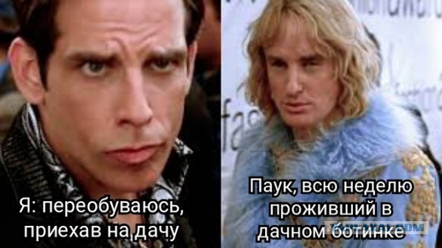 Завалялось тут случайно немного забавных картинок