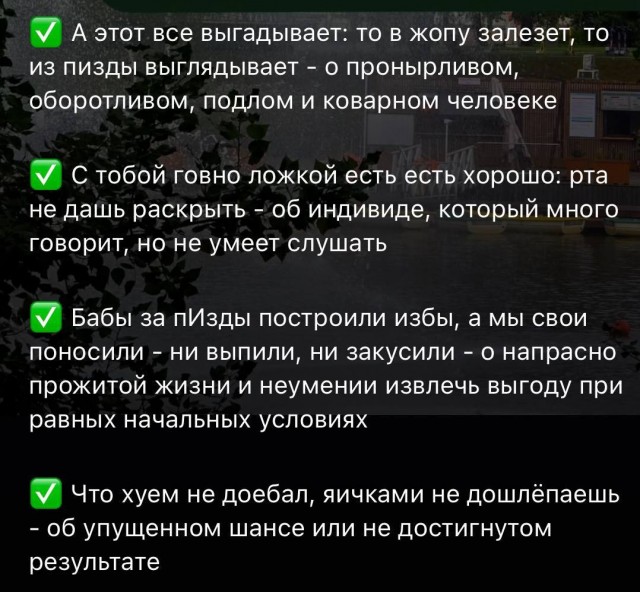 Матерные поговорки на все случаи жизни.