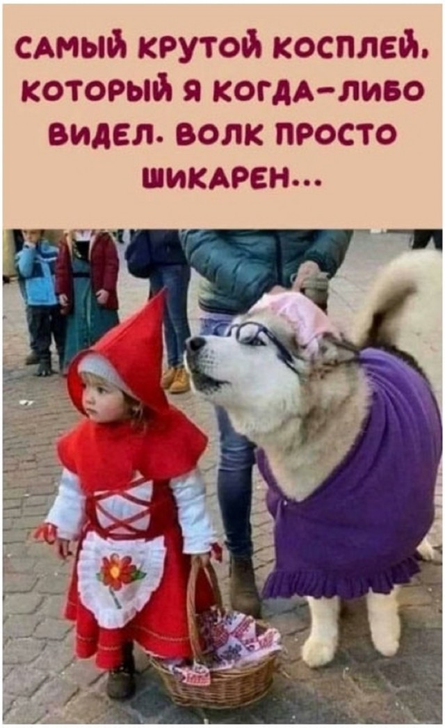 Так себе картинки 28.08.25