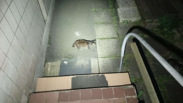 Клуб говорунов (литературный)