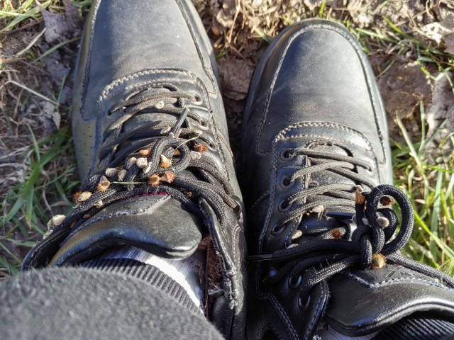 Любители шнурков