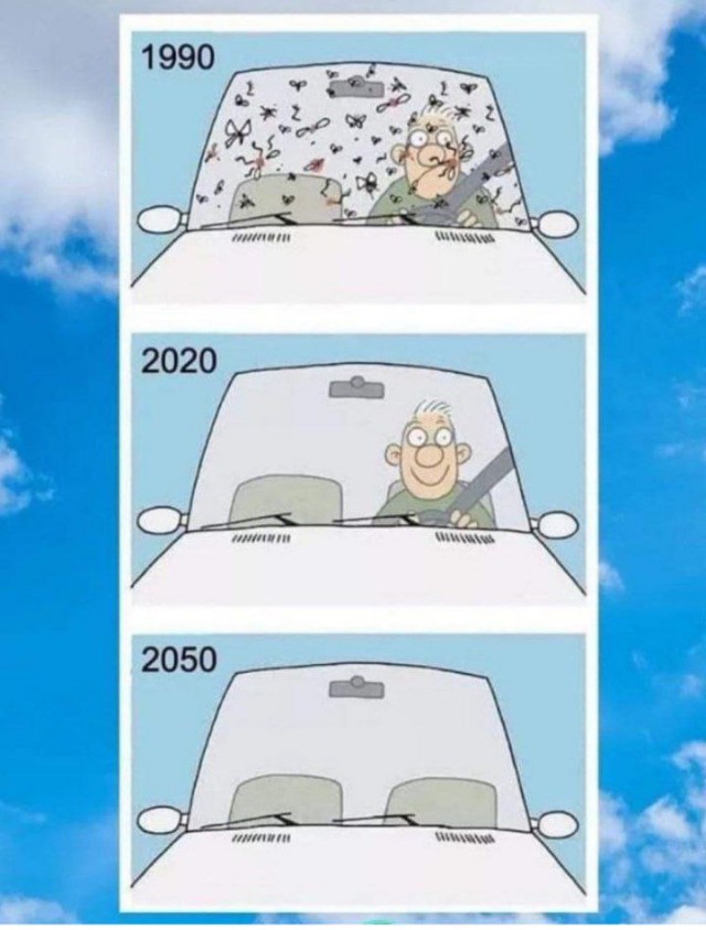 Почему так вышло?