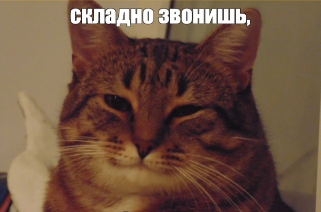 Рыбалка на реке Березина. Беларусь