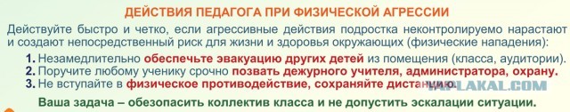 В Сети высмеяли памятку Минпросвещения для учителей по разрешению конфликтов с учениками