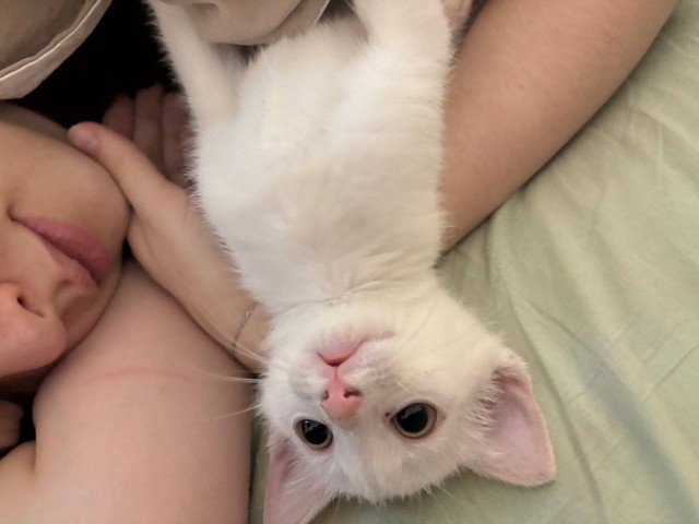 Черненький