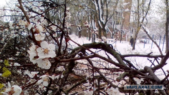 39 необычных фотографий, которые должны вам понравиться
