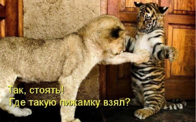 Так себе картинки 19.03.26