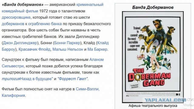 Давай вкусняшку и никто не пострадает!
