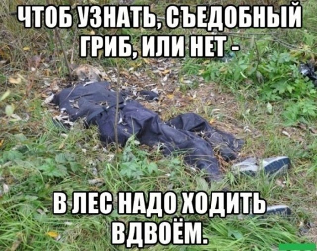 Веселые картинки в пятницу (08.05)