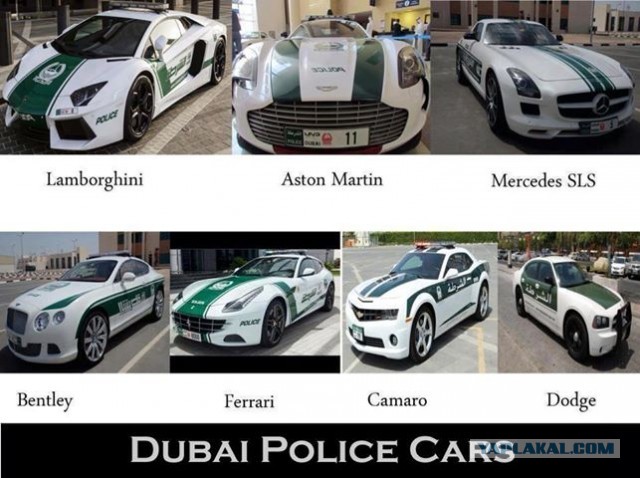 На чём ездят копы в Америке