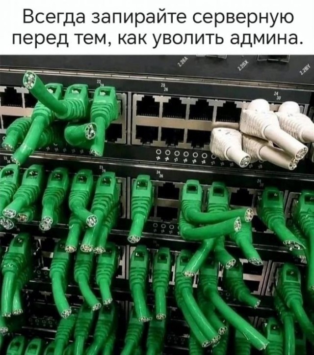 Картинки для деградации 268 (разной степени свежести)