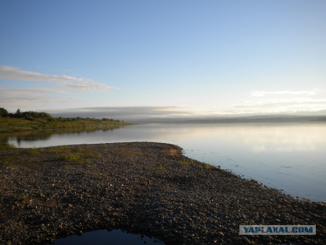 Посетители ночных клубов Москвы