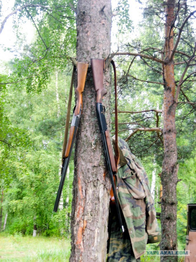 Деревенская Америка