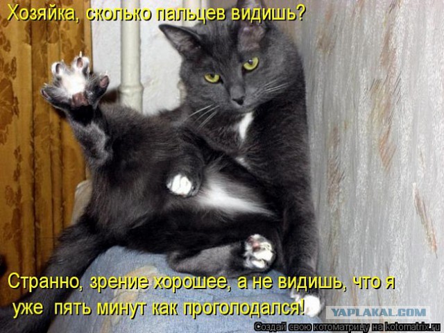 Улыбнуло часть "2"