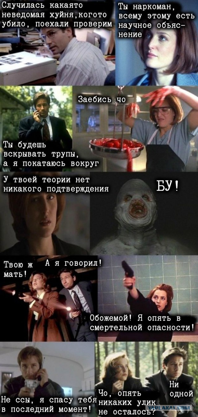 Секретные материалы мемы
