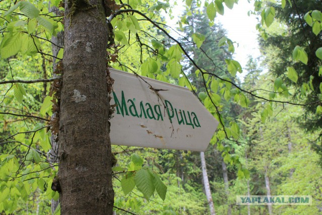 Моя поездка в Абхазию весной 2013г.
