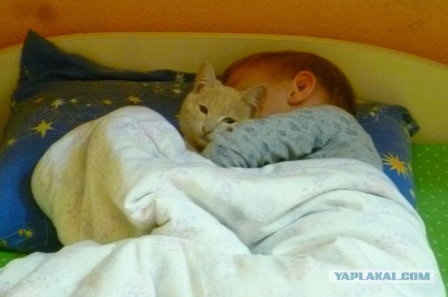 Хотел взять корзинку в магазине