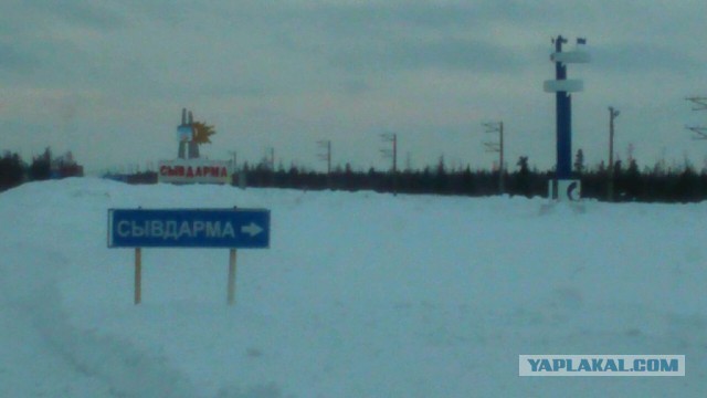 погода сывдарма. сывдарма ямало-ненецкий. погода сывдарма. ямалспецснаб сывдарма. пуровский район поселок сывдарма.