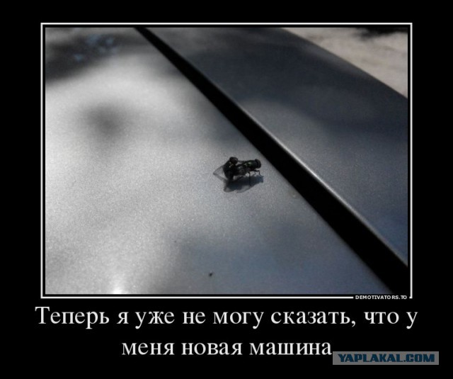 Порция демотиваторов