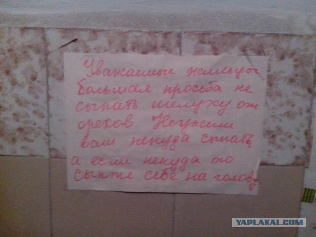 30 объявлений из наших подъездов