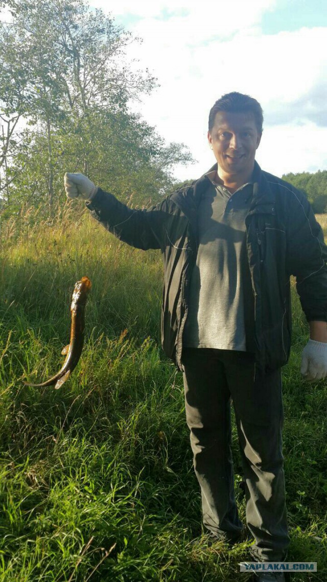 Лещ изначальный