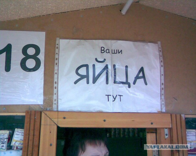 Пародия: типичный «Паблик» во «ВКонтакте»