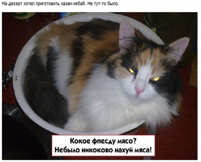 Новогоднее