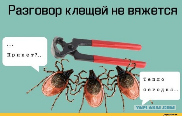 Открытие весенней охоты!