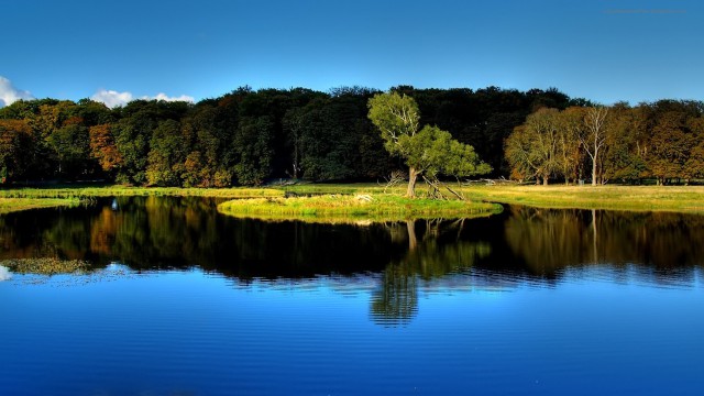 Интересные и веселые картинки