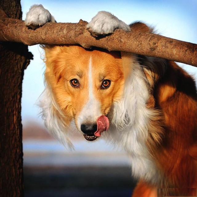 А что это вы здесь делаете?