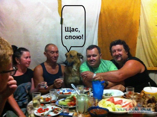 Отпуск в Крыму