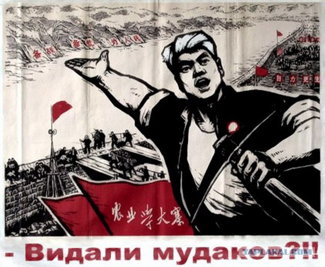 Подборка прикольных плакатов