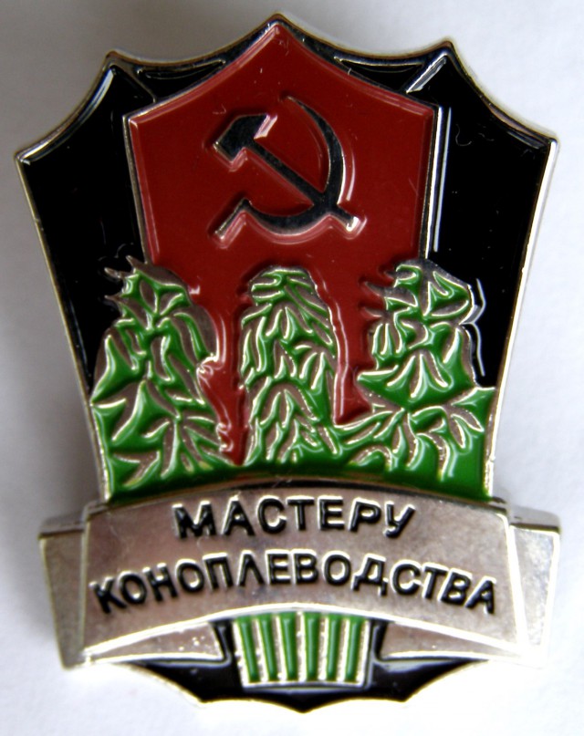 Чуйские будни