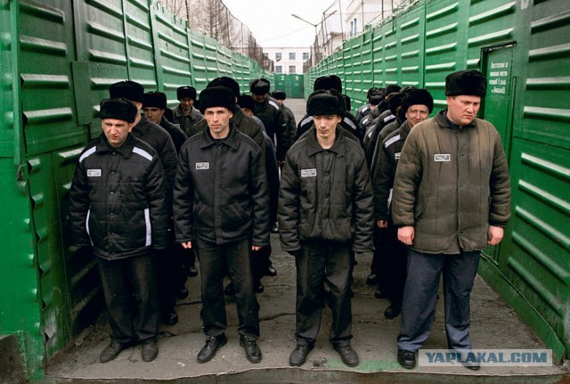 Жителю Ханты-Мансийска порвали кишки в полиции