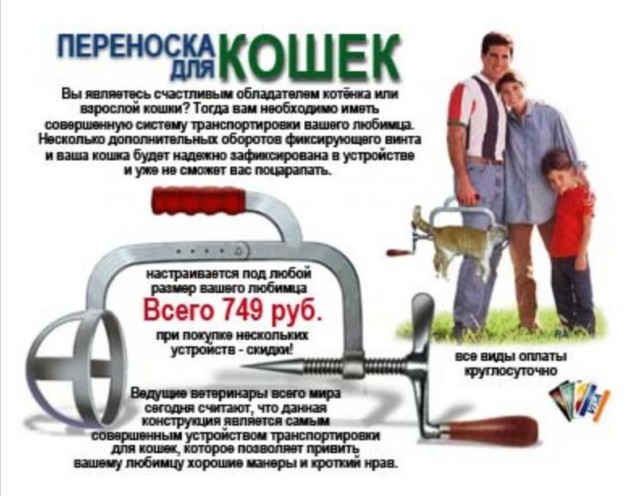 Сатана, а не кот!