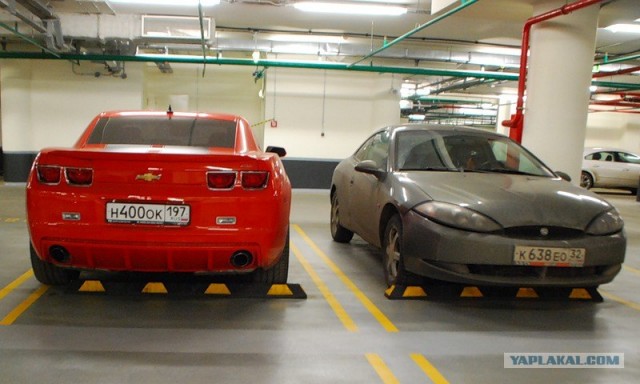 Найди свой автомобиль по знаку Зодиака