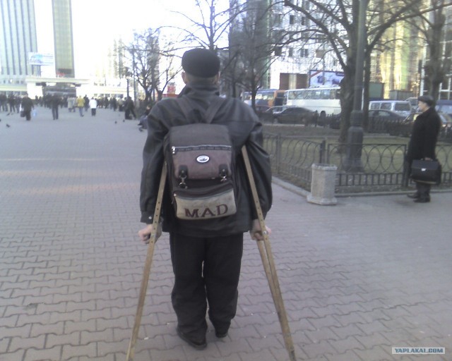 Прикольные картинки!