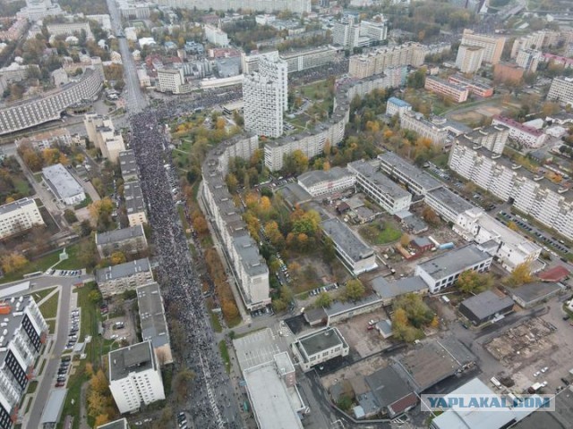 Более пяти тысяч протестующих вышли на улицы Минска